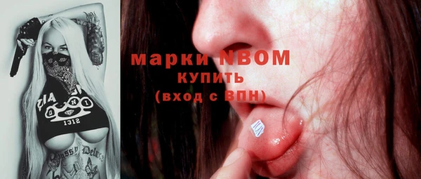 крисы Новодвинск