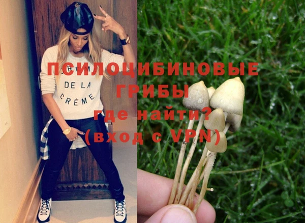 крисы Новодвинск
