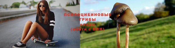крисы Новодвинск