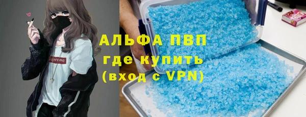 крисы Новодвинск