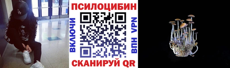 хочу   Костомукша  ссылка на мегу сайт  Галлюциногенные грибы MAGIC MUSHROOMS 